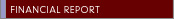 Financial Report